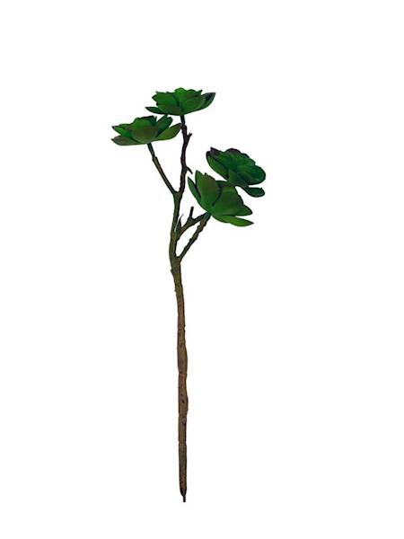 Sukulent 33 cm zielony z fioletem