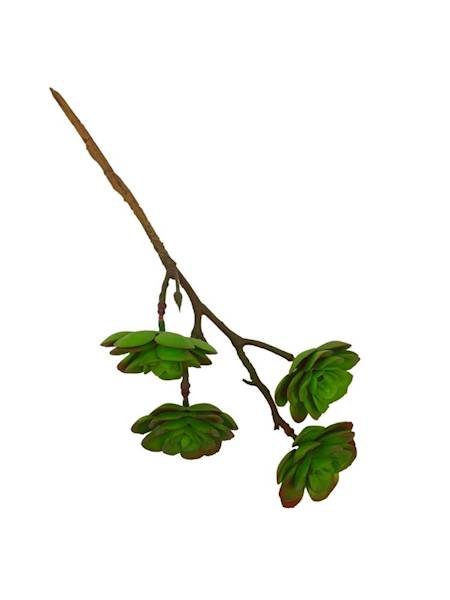 Sukulent 33 cm zielony z czerwonym