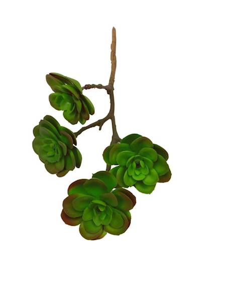 Sukulent 33 cm zielony z czerwonym