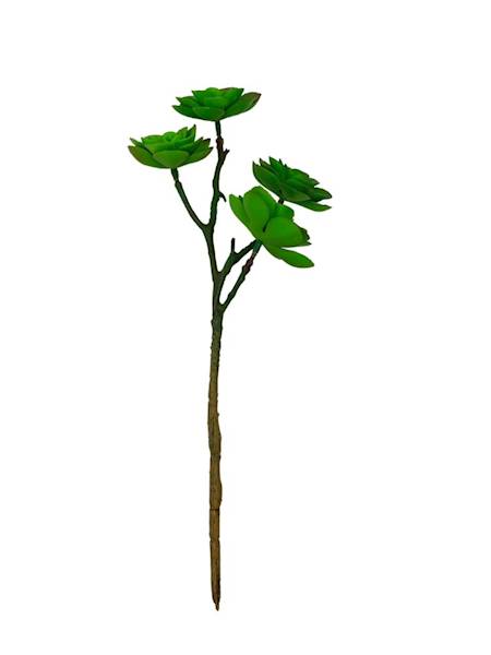 Sukulent 33 cm zielony z czerwonym