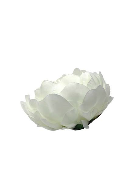 Piwonia główka 12 cm biała / jasny krem