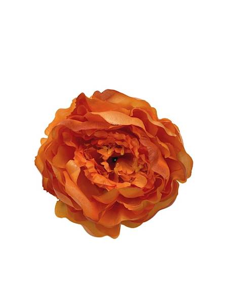 Piwonia główka 12 cm pomarańczowa