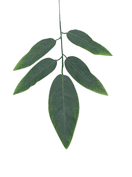 Liść mango 58 cm zielony omszony