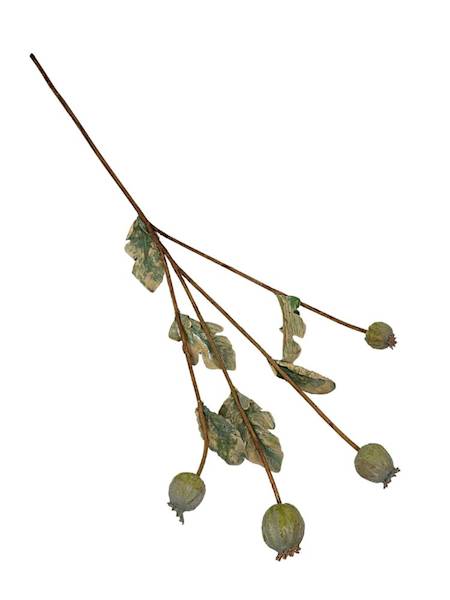 Makówka gałązka 62 cm zielona