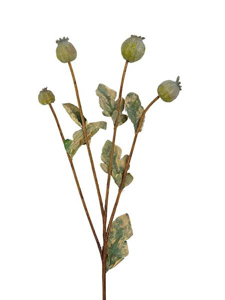 Makówka gałązka 62 cm zielona