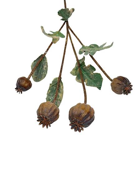 Makówka gałązka 62 cm brąz