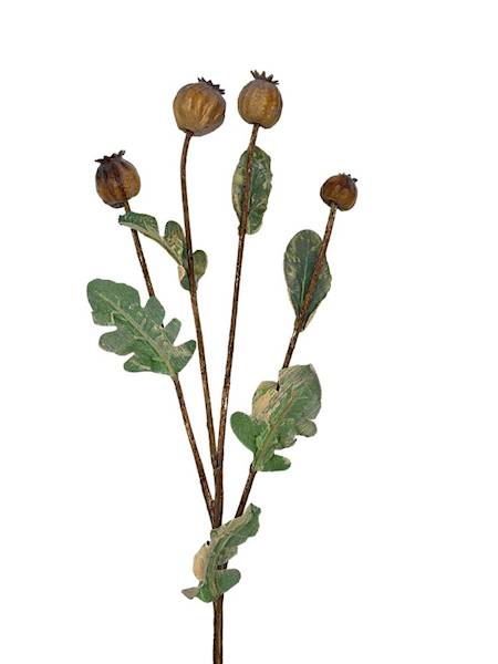 Makówka gałązka 62 cm brąz