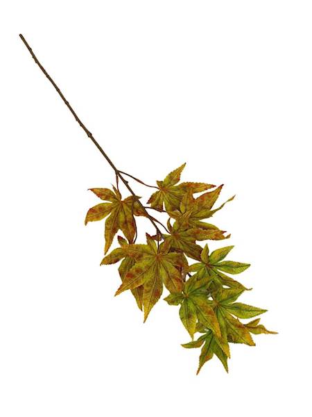 Liście klonu gałązka 65 cm żółty/czerwony/zielony