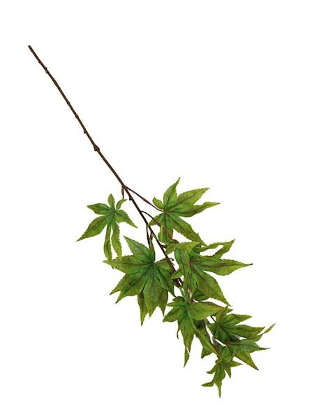 Liście klonu gałązka 65 cm zielone