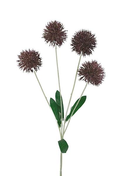 Czosnek gałązka 60 cm purpurowy