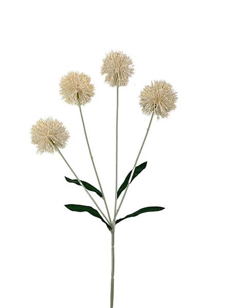 Czosnek gałązka 60 cm kremowy