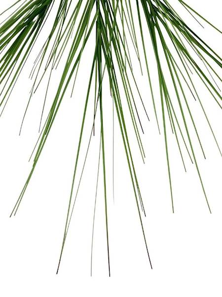 Trawa 100 cm zielona z czerwonymi końcami