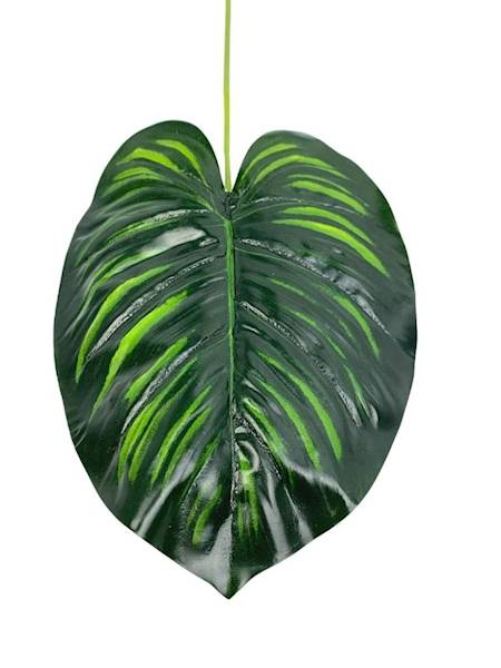 Liść manuel difenbachia 50 cm odcienie zielonego