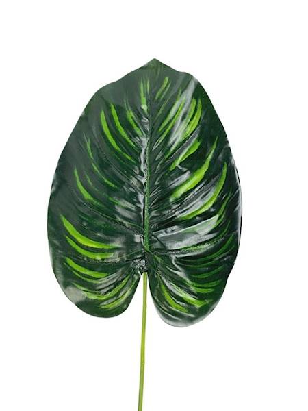 Liść manuel difenbachia 50 cm odcienie zielonego
