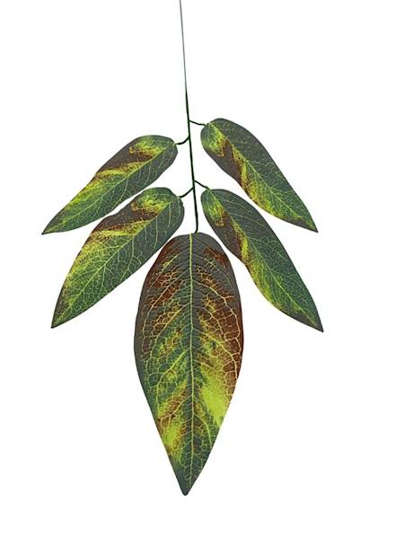 Liść mango 57 cm kolorowy