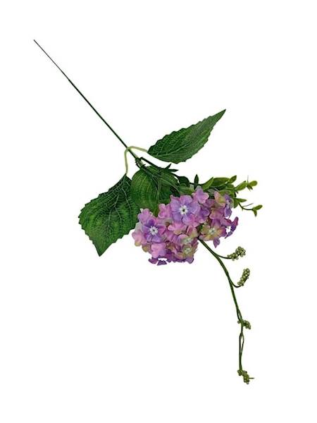 Kalina pik 44 cm fioletowa