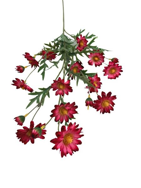 Margaretka rumianek gałązka 73 cm fuksja