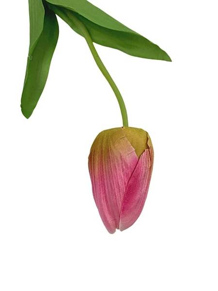 Tulipan gałązka 50 cm różowy
