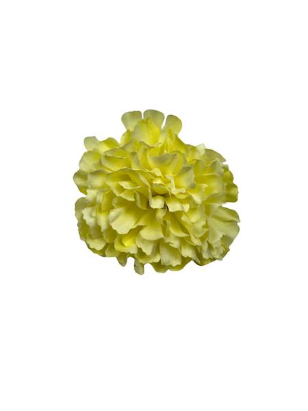 Goździk główka 8 cm jasny żółty