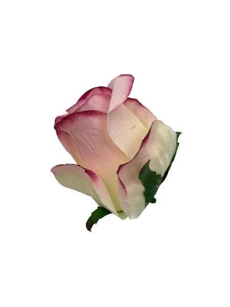 Róża główka 8 cm róż krem