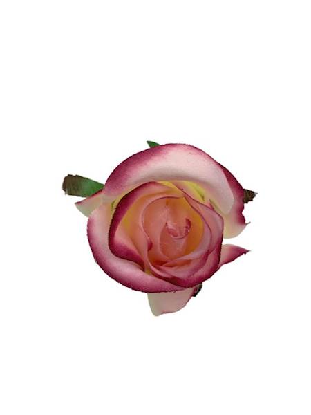 Róża główka 8 cm róż krem