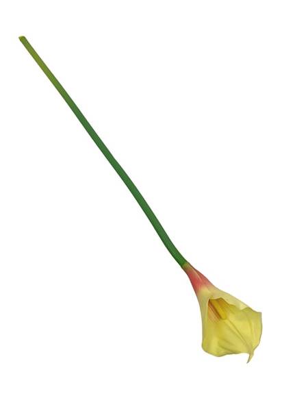 Kalia gumowa gałązka 70 cm żółta z różem