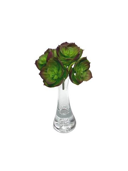 Sukulent gumowy 10 cm zielony z fioletem