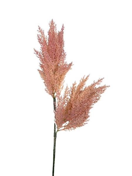 Trawa pampasowa 70 cm różowa