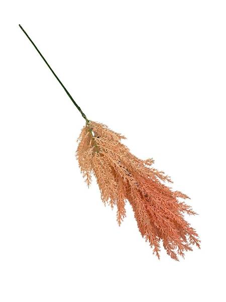 Trawa pampasowa 70 cm łososiowa