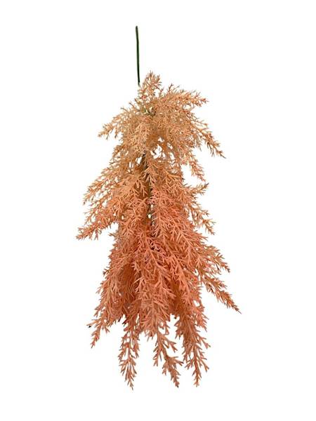 Trawa pampasowa 70 cm łososiowa