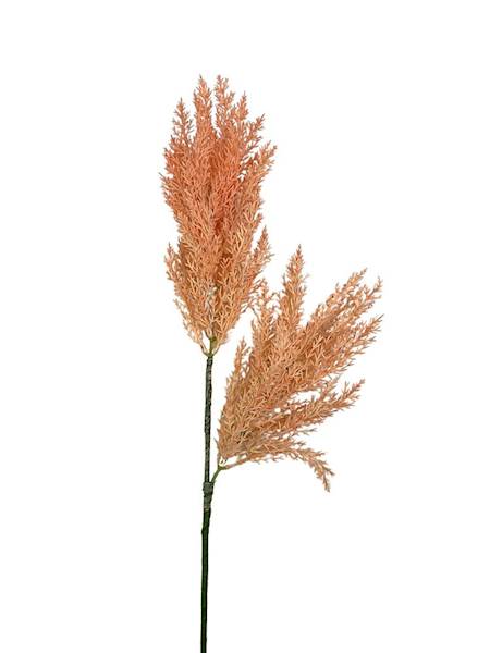 Trawa pampasowa 70 cm łososiowa
