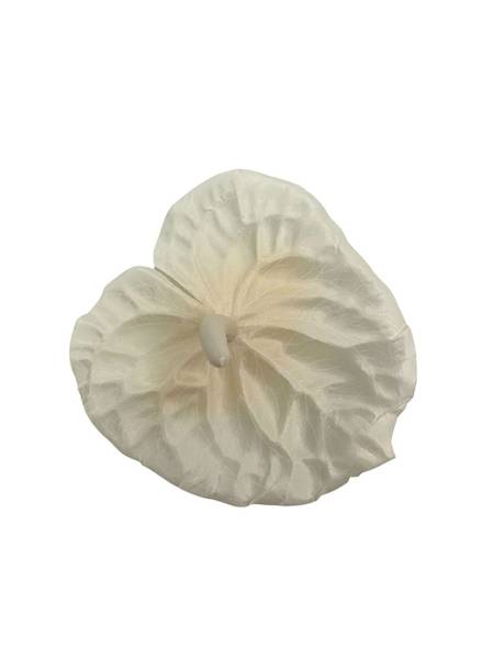 Anturium główka 14 cm jasna brzoskwinia