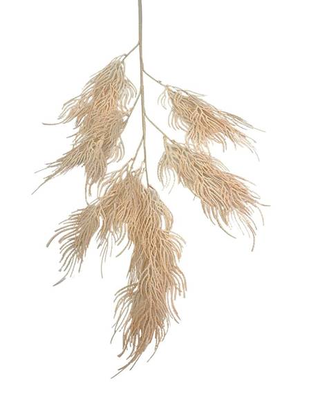 Trawa ozdobna 105 cm jasna brzoskwinia