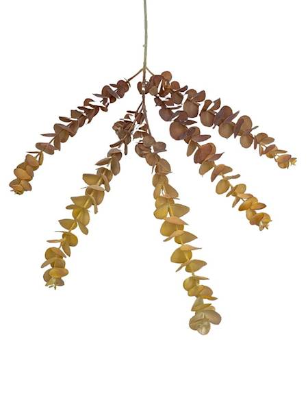 Eukaliptus gałązka 80 cm pomarańcz i brąz