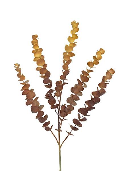Eukaliptus gałązka 80 cm pomarańcz i brąz