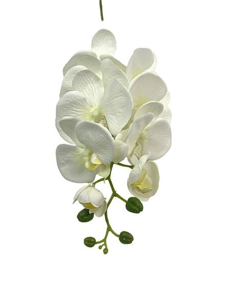 Storczyk gałązka 100 cm kremowy