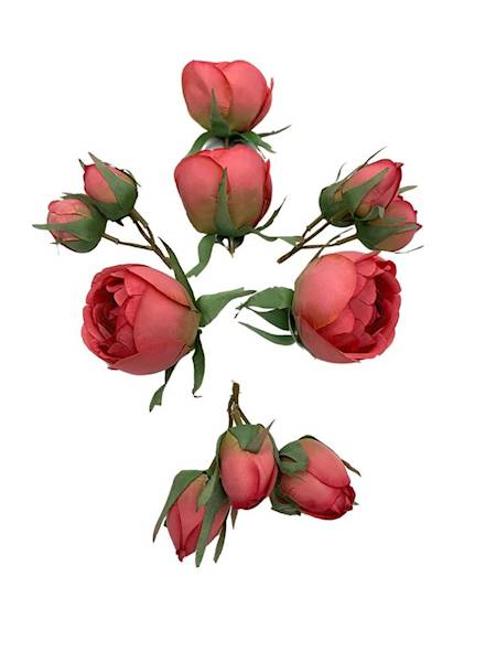 Róża główka komplet różowy