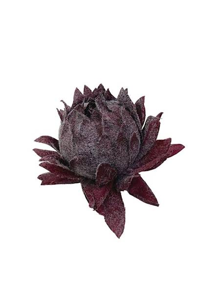 Karczoch omszony główka 8 cm bordo