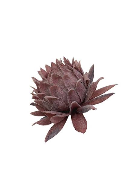 Karczoch omszony główka 8 cm brudny róż