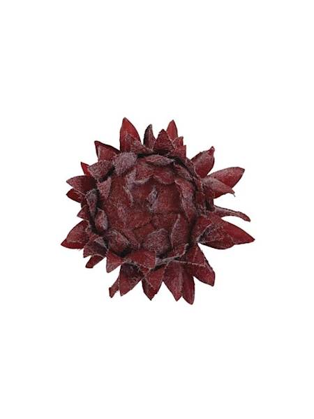 Karczoch omszony główka 8 cm czerwony