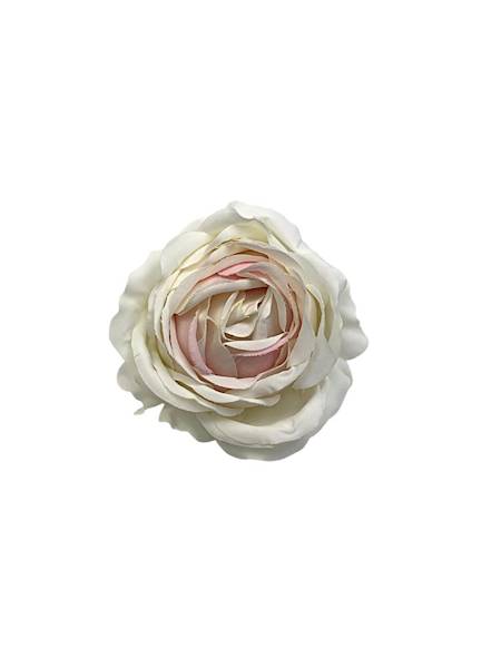 Róża główka 9 cm kremowa