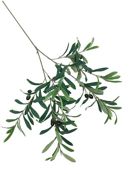 Oliwka gałazka oliwna 94 cm