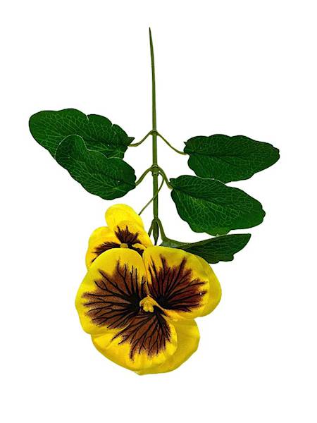 Bratek gałązka 33 cm żółty z brązem