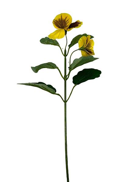 Bratek gałązka 33 cm żółty z brązem