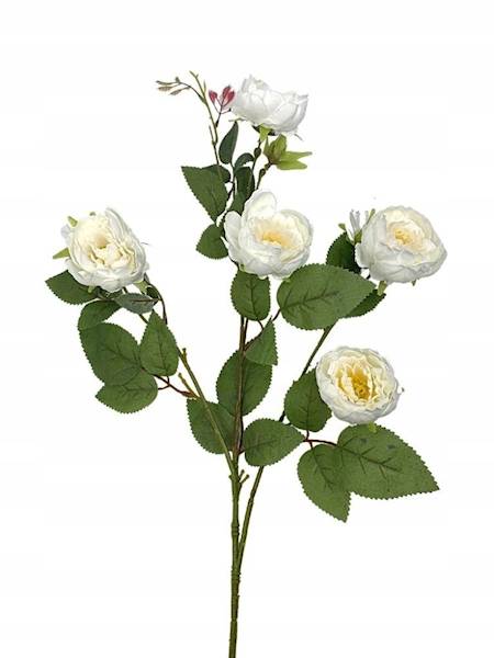 Róża gałązka 73 cm biała