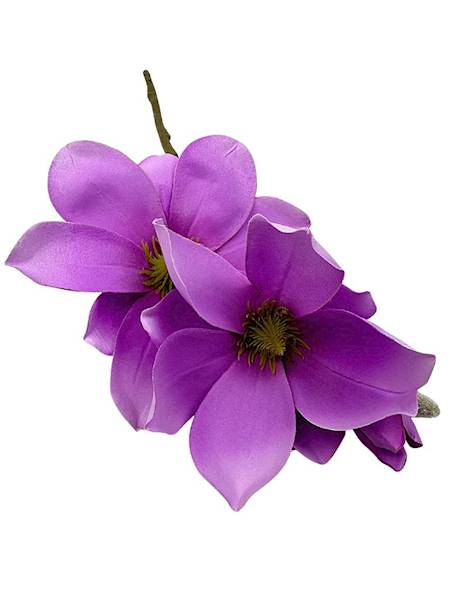 Magnolia gałązka 40 cm fioletowa