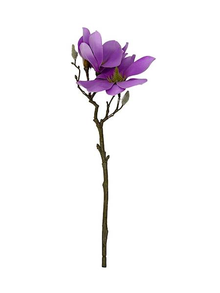Magnolia gałązka 40 cm fioletowa