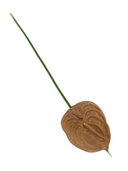 Anturium kwiat silikonowy 68 cm jasny brąz