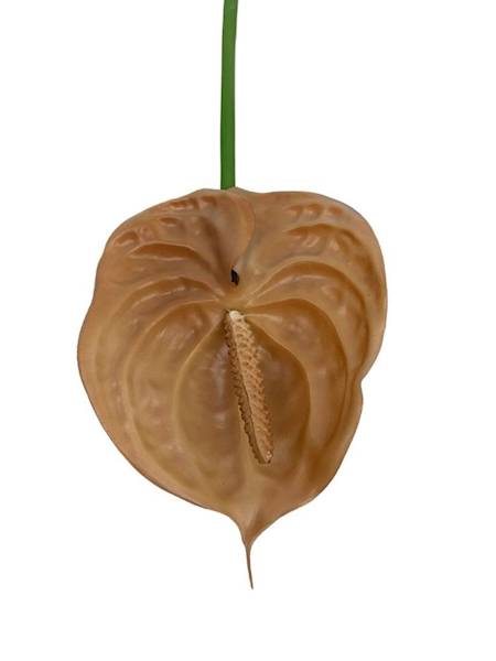 Anturium kwiat silikonowy 68 cm jasny brąz