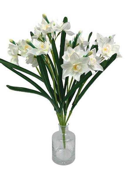 Żonkil bukiet 60 cm biały
